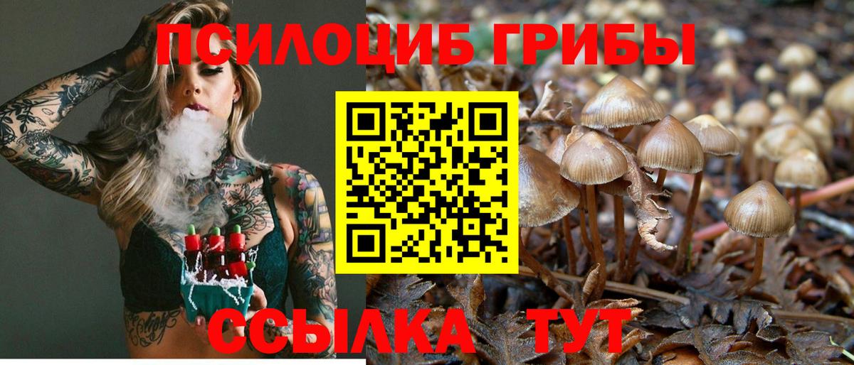 Ижевск  Галлюциногенные грибы Magic Shrooms  Вход с VPN 