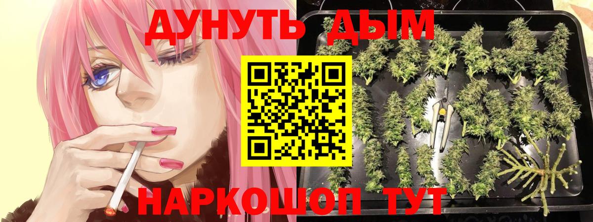 Ижевск  Шишки марихуана тримм  Марихуана Bruce Banner  Вход с VPN 